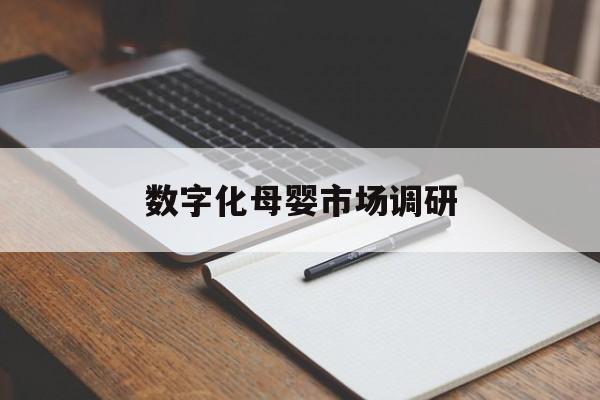 平凉市数字化母婴市场调研(数字化母婴市场调研报告)